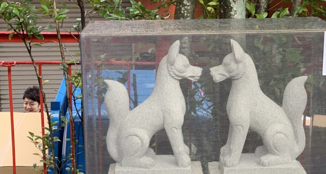 初出は皆揃って！